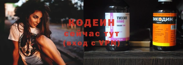 ешки Карпинск