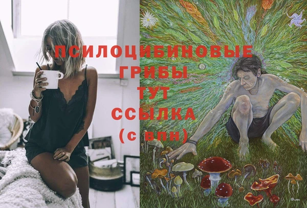 марки lsd Касимов