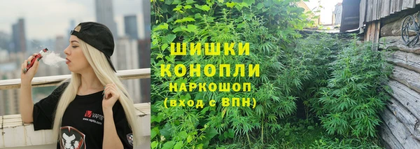 ешки Карпинск