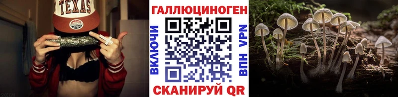 Галлюциногенные грибы GOLDEN TEACHER  Купить где  Дедовск 